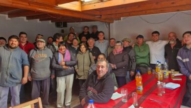 Photo of Con apoyo del Municipio, se consolida la producción porcina local