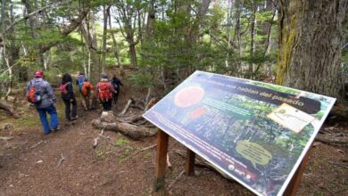 Photo of EL INFUETUR RECUERDA LAS SENDAS HABILITADAS Y RECOMENDACIONES PARA VISITAR DEL PARQUE NACIONAL TIERRA DEL FUEGO