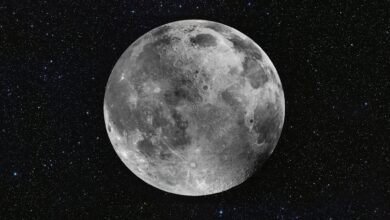 Photo of El calendario lunar de mayo 2024