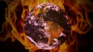 Photo of Los modelos climáticos que usan los científicos para determinar cuándo ocurrirá una “extinción masiva” en la Tierra
