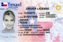 Photo of Extravío o rotura: este es el procedimiento para solicitar un duplicado de una licencia de conducir o Real ID en Texas