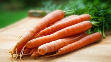Photo of Los beneficios de comer zanahoria todos los días que seguro no conocías y cómo incluirla en tu dieta