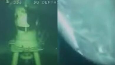 Photo of Inspeccionaban una cañería en el fondo del mar y filmaron a una criatura impensada