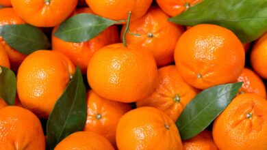 Photo of Los beneficios de consumir mandarina todos los días