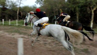 Photo of Carreras cuadreras: una tradicional competencia siempre esperada