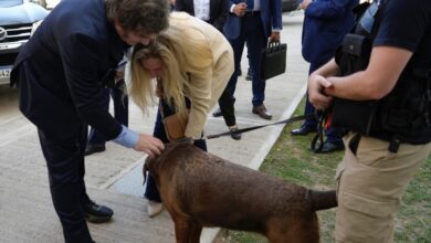 Photo of Milei acusó a Alfonsín de golpista y se enojó hasta De Loredo​Milei acusó a Alfonsín de golpista y se enojó hasta De Loredo 