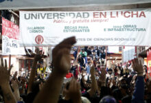 Photo of Aviso a Milei: La mayoría de la Argentina apoya la universidad pública