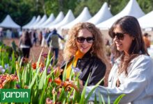 Photo of Qué podés encontrar en cada stand y por qué no te podés perder la feria más esperada de la jardinería