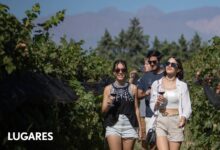 Photo of Valle de Uco: Las nuevas posadas y propuestas gourmet de la región más prometedora de Mendoza