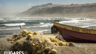 Photo of Playas chilenas: Pueblitos con encanto, ceviche y el mejor surf al borde del Pacífico salvaje