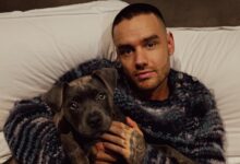 Photo of Murió Liam Payne en un hotel de Palermo: cómo es el paso a paso de una autopsia