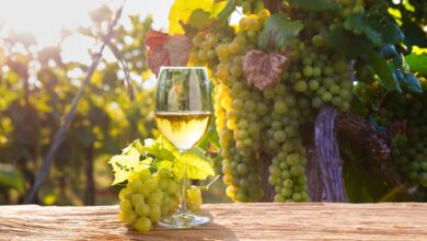 Photo of Cuál es la variedad de vino blanco que se reinventa