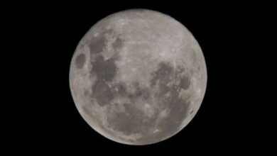 Photo of Rituales para aprovechar la energía de la Luna llena del jueves 17 de octubre