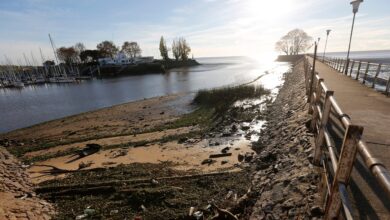 Photo of Interrogante: tras la intoxicación masiva de los nadadores en Uruguay, ¿qué tan contaminado está el Río de la Plata?