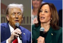 Photo of ¿Quién gana las elecciones en Nevada? Así están las encuestas entre Trump y Kamala Harris hoy, jueves 24 de octubre