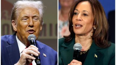 Photo of ¿Quién gana las elecciones en Nevada? Así están las encuestas entre Trump y Kamala Harris hoy, jueves 24 de octubre