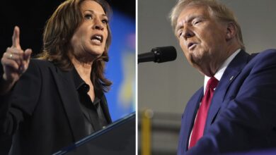 Photo of ¿Quién gana las elecciones en EE.UU. 2024? Así están las encuestas entre Trump y Kamala Harris hoy, viernes 25 de octubre