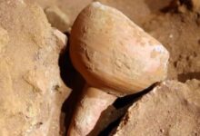 Photo of Un grupo de arqueólogos resolvió el misterio de la copa del Santo Grial descubierta en una tumba en Jordania