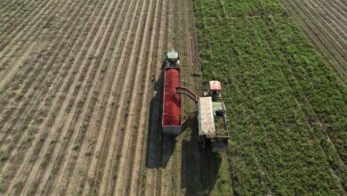 Photo of El agro deja en stand by el reclamo por retenciones y pide por créditos e infraestructura