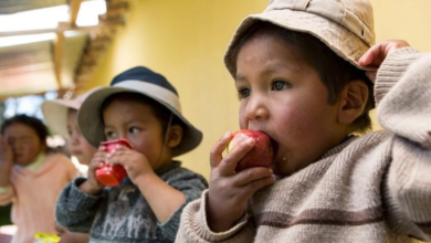 Photo of 23 de octubre: por qué se conmemora el Día Mundial de la Acción para la Supervivencia Infantil