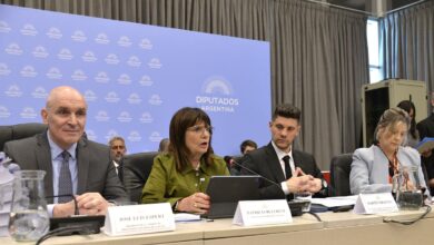 Photo of Fuerte cruce entre Patricia Bullrich y Leopoldo Moreau: «¿Querés que te cuente la plata que cobraste de Yabrán?»