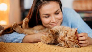 Photo of Vivir con un gato puede mejorar tu bienestar cerebral y emocional, según los expertos