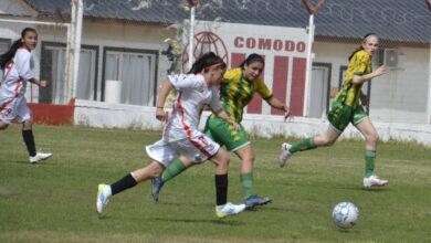 Photo of Femenino- Liga de Desarrollo Sub 14