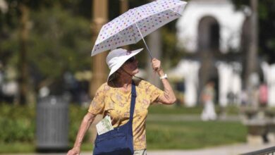 Photo of Calor y alerta meteorológico por tormentas: cuáles son las provincias afectadas y cómo seguirá el clima en el AMBA