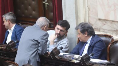 Photo of Se rompió la UCR: el sector de Manes y Lousteau formarán un bloque propio de 12 diputados