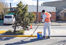 Photo of Continúan las tareas de embellecimiento en los espacios públicos de Río Grande