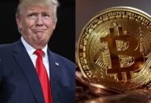 Photo of Bitcoin y elecciones en EEUU: cómo puede impactar una victoria de Donald Trump o de Kamala Harris en el precio de la criptomoneda