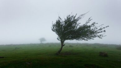 Photo of Alerta meteorológico por vientos: cuáles son las provincias afectadas y cómo seguirá el clima en el AMBA