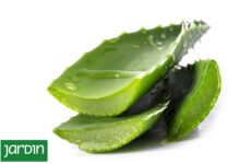 Photo of ¿Te gustaría mejorar el aspecto de tu piel? El aloe vera es la solución