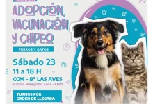 Photo of El Municipio realizará una jornada de adopción resposable, vacunación antirrábica y chipeo para perros y gatos