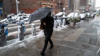 Photo of ¿Va a nevar en Nueva York para Acción de Gracias? Así estará el clima en Thanksgiving