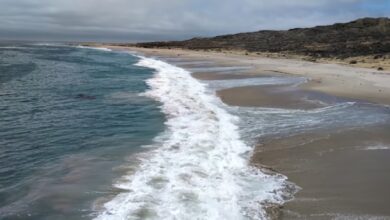 Photo of Esta es la misteriosa isla de California que está prohibido visitar: qué hay ahí