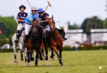 Photo of Agenda de TV del domingo: Liga Profesional, fútbol de Europa, final de Copa Davis, Abierto de Palermo y rugby internacional