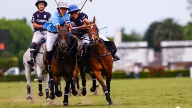 Photo of Agenda de TV del domingo: Liga Profesional, fútbol de Europa, final de Copa Davis, Abierto de Palermo y rugby internacional