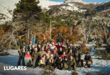 Photo of El bosque milenario de la Patagonia que renace tras un incendio gracias al trabajo voluntario