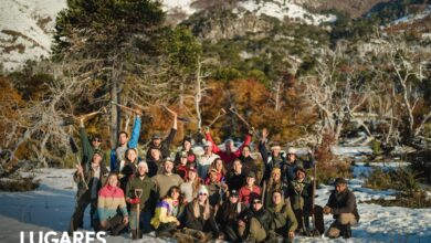 Photo of El bosque milenario de la Patagonia que renace tras un incendio gracias al trabajo voluntario