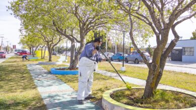 Photo of El Municipio trabaja por una Río Grande más cuidada