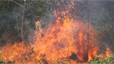 Photo of Crece la preocupación por los incendios en Bolivia: más de 10 millones de hectáreas afectadas