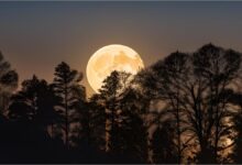 Photo of Luna del Castor 2024: cómo y dónde ver la última superluna del año