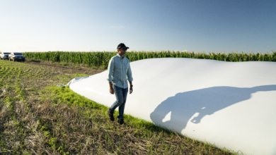 Photo of Campo en alerta: se disparan las importaciones de alimentos y productos agroindustriales