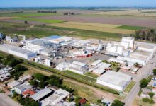 Photo of Importante inversión: una de las mayores cooperativas lácteas pone decenas de paneles solares y acelera un cambio de paradigma