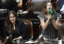 Photo of Diputados: el reproche que Pagano le hizo a Menem en plena sesión y que incluyó hasta un megáfono