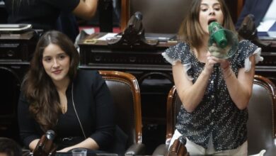 Photo of Diputados: el reproche que Pagano le hizo a Menem en plena sesión y que incluyó hasta un megáfono