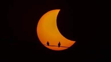 Photo of Cuándo es el próximo eclipse