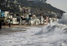 Photo of “Aléjate del mar”: la advertencia a residentes de San Francisco por este peligroso fenómeno