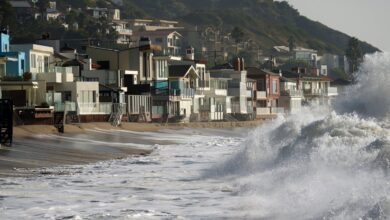 Photo of “Aléjate del mar”: la advertencia a residentes de San Francisco por este peligroso fenómeno